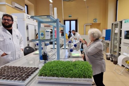 TRAINING AND DISSEMINATION