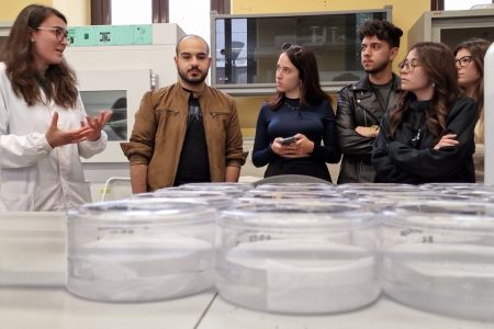 TRAINING AND DISSEMINATION