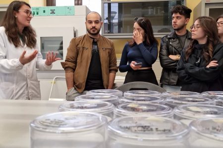 TRAINING AND DISSEMINATION