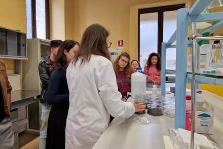 TRAINING AND DISSEMINATION