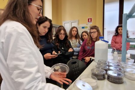 TRAINING AND DISSEMINATION