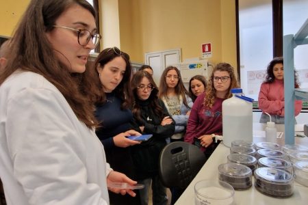 TRAINING AND DISSEMINATION