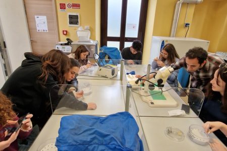 TRAINING AND DISSEMINATION