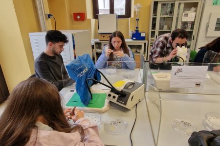 TRAINING AND DISSEMINATION