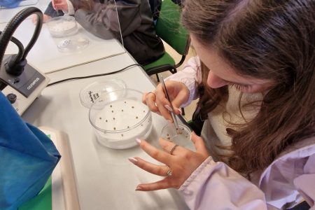 TRAINING AND DISSEMINATION