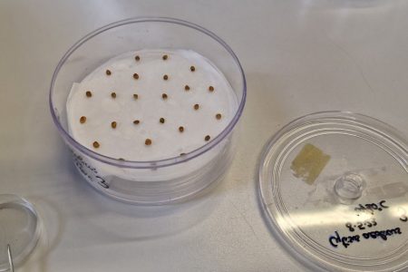 TRAINING AND DISSEMINATION