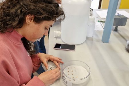 TRAINING AND DISSEMINATION