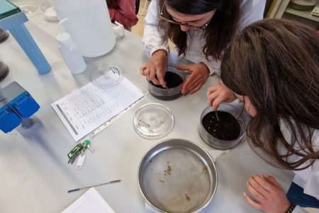 TRAINING AND DISSEMINATION