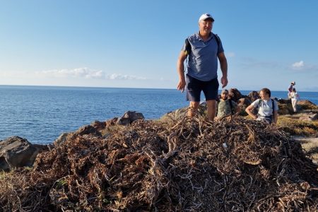 ERADICATION OF INVASIVE ALIEN SPECIES
