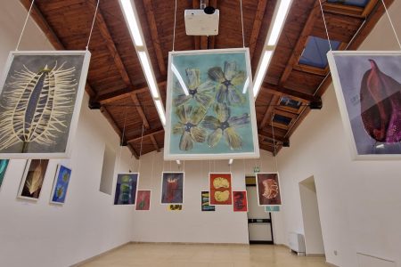 Mostra_Semi_La_Vita_in_attesa