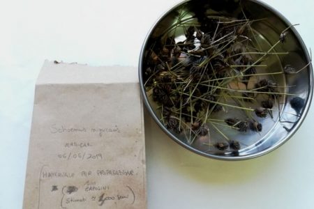 preparazione-materiale-propagazione-03