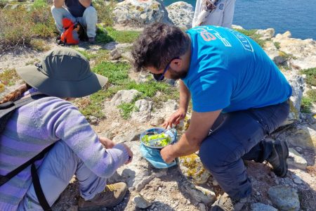 preparazione_idrogel_da_Opuntia