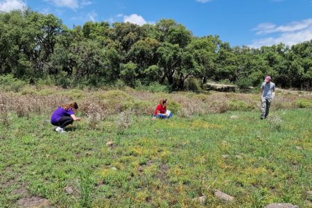 TRAINING AND DISSEMINATION