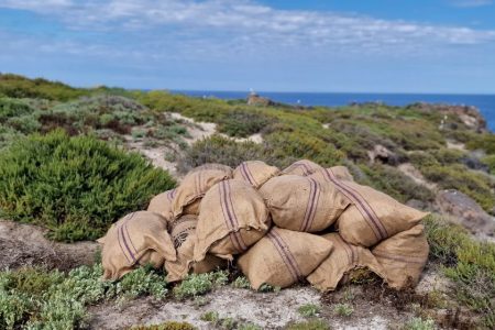 ERADICATION OF INVASIVE ALIEN SPECIES