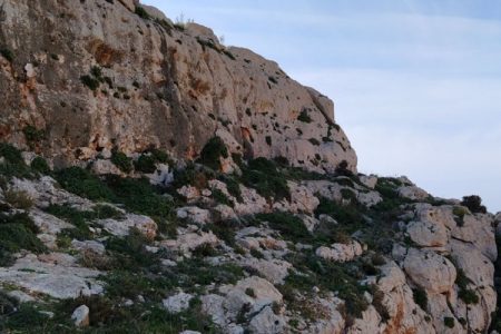 ZSC Rdumijiet ta’ Malta: Mix-Xaqqa sal-Ponta ta’ Bengħisa (N2K MT0000024 – Għar Ħasan, Wied Babu, Wied Żnuber)