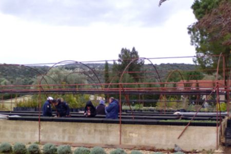 Vivaio Spinagallo (Cassibile – SR)